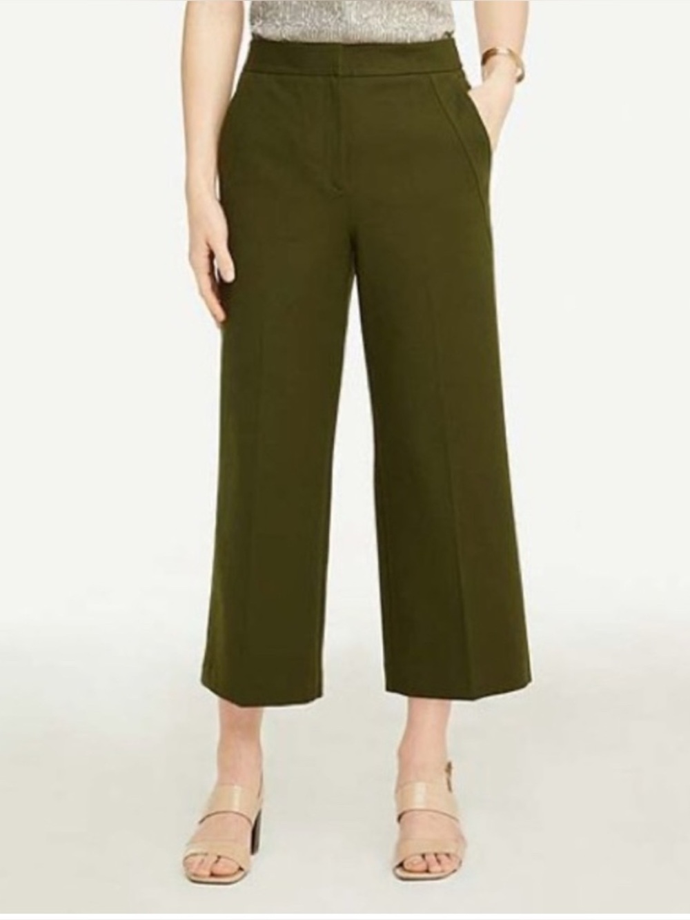 Ann Taylor Pants